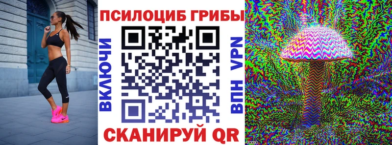 OMG ссылки Благовещенск сайты даркнета наркотические препараты продажа наркотиков Псилоцибиновые грибы Magic Shrooms